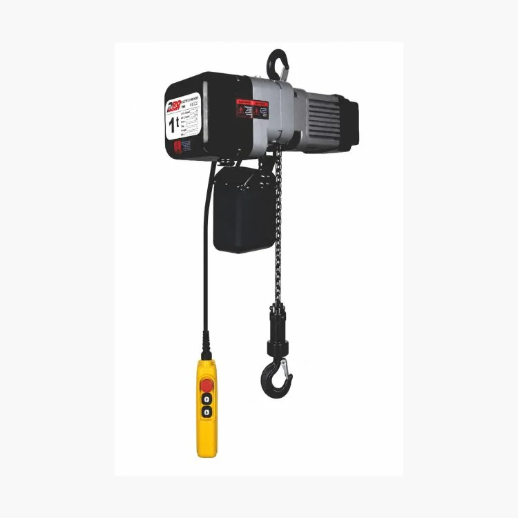 1T Pro Hoist Electric Chain Hoist and Motorised Trolley — PHU010S380